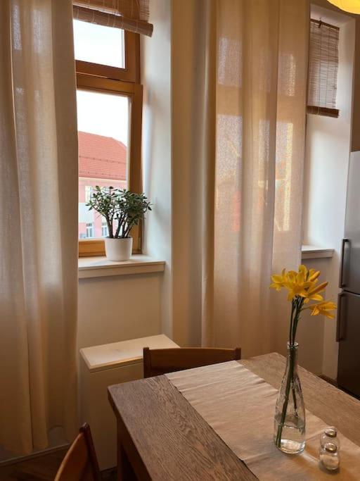 Pod Valdickou Branou Apartment Jicin